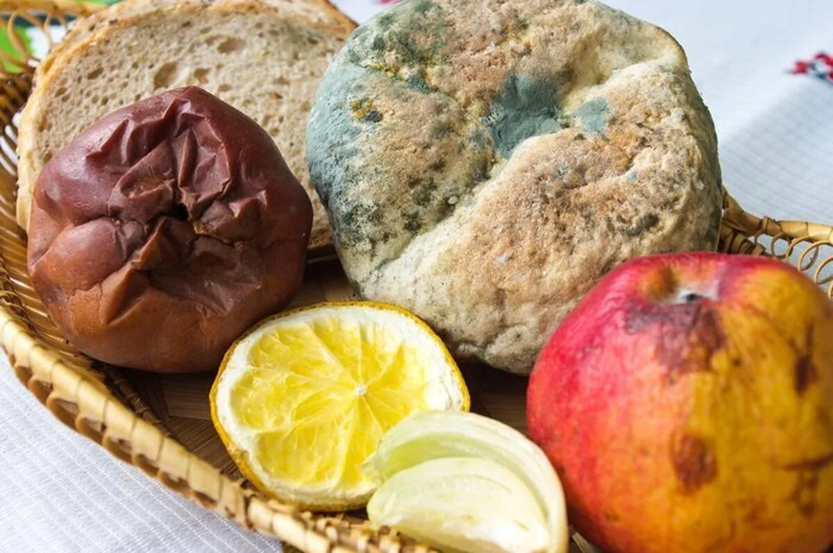 تمام مواد غذایی کپک زده را دور بریزید | هیچ قسمتی را نخورید