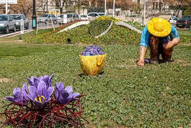 تلاش همه&zwnj;جانبه برای زیبایی منطقه