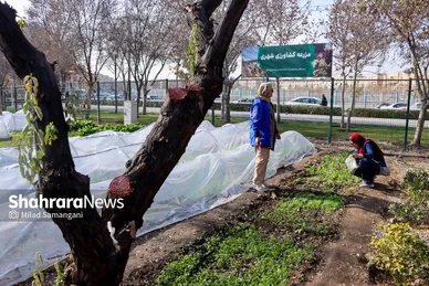 گزارش تصویری | بازدید از آخرین وضعیت پروژه‌های سازمان پارک‌ها و فضای سبز شهرداری مشهد (۱۸ آذر ۱۴۰۴)