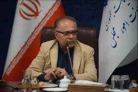 معاون امور مجلس رئیس&zwnj;جمهور: دولت چهاردهم&nbsp;مصمم به ارتقای سطح روابط دولت و مجلس است