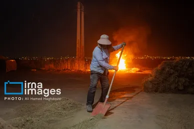 گزارش تصویری | جاروی سنتی قَرامَلِک