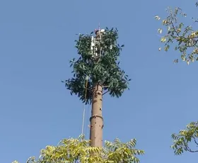 نصب دومین دکل درختی مخابراتی در مشهد