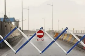 جمعی از کادر درمان خواستار حذف خدمات درمانی به مسافران شهر&zwnj;های قرمز و نارنجی شدند