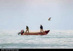 صید ماهی استخوانی - مازندران