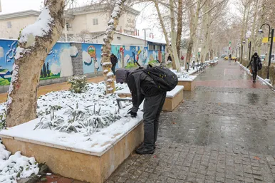 بارش برف در مشهد
