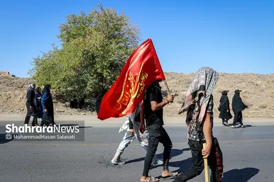 زائران پیاده در مسیر حرم مطهر رضوی