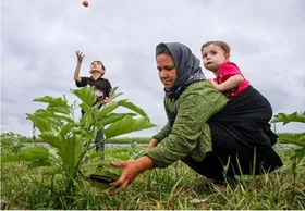 ساماندهی صندوق&zwnj;های خرد زنان روستایی و عشایری| عاملیت زنان روستایی و عشایری باید شناسایی شود