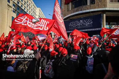 گزارش تصویری | موکب فرهنگی شهرداری مشهد در نجف اشرف و مسیر پیاده روی زائران اربعین (۸ مرداد ۱۴۰۵)
