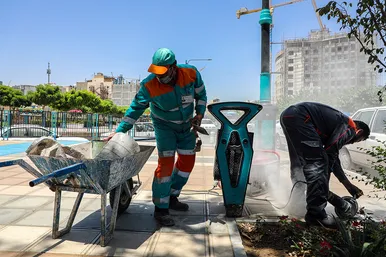 پاکبانان شهر