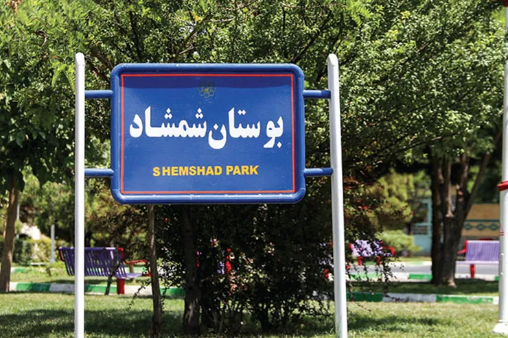 «شمشاد»  همچنان زیرتیغ
