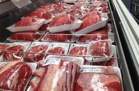 عرضه گوشت وارداتی با ارز نیمایی