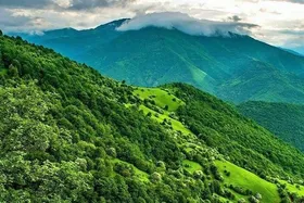 ویدئو| جنگلِ رویاییِ ارسباران