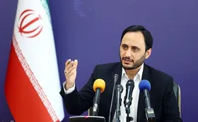 سخنگوی دولت: زوجین نابارور بیمه می&zwnj;شوند