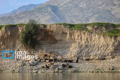 ایران زیباست | دشت «سوسن» خوزستان