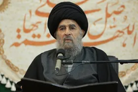 آیت&zwnj;الله سید محمدتقی مدرسی: دلیل پیروزی مجاهدین فلسطینی در غزه عمق ایمان آنان به خداوند بود