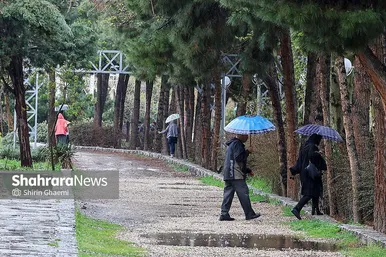 گزارش تصویری | شهر مشهد زیر بارش رحمت الهی در روز ۱۲ فروردین