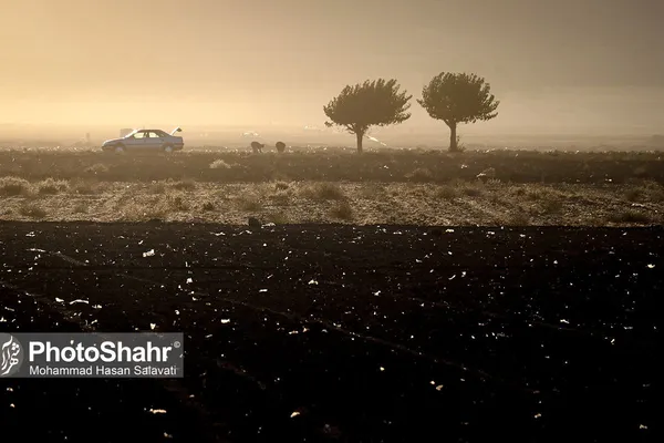 روایتی از یک ‌روز زندگی زعفران‌کاران که این روزها طلای سرخشان خریدار ندارد