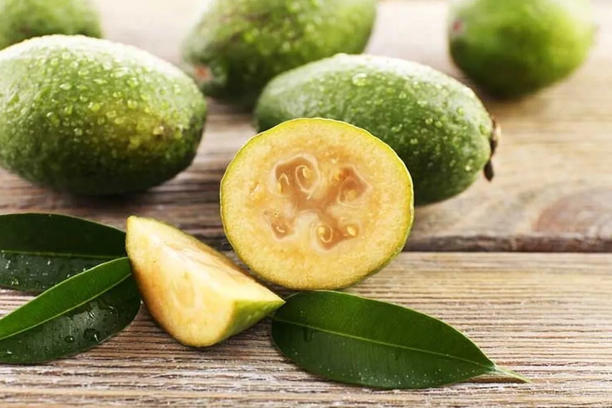 کدام میوه به پیشگیری از دیابت کمک می‌کند؟