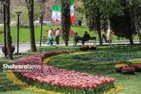 فصل طغیان شته در باغات و فضای سبز شهری مشهد | به ۱۶۰ درخواست مردم در خصوص آفات رسیدگی شد