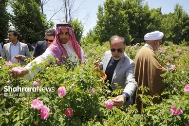 گزارش تصویری | جشن گل‌های محمدی روستای فرخد خراسان رضوی