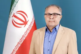 معاون پارلمانی رئیس&zwnj;جمهور به استیضاح وزرا واکنش نشان داد