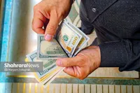 تقاضای ارز از عرضه عقب ماند | از ۵۰۰ میلیون دلار اسکناس موجود در بازار تنها ۲۰ میلیون دلار آن فروش رفته است
