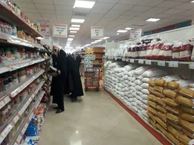 برنج در صدر گران&zwnj;ترین کالا&zwnj;های اساسی/ افزایش ۴۴/۵ درصدی قیمت برنج