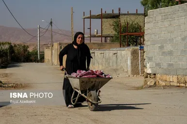 ایران زیباست | انارستان تنگ سیاب (کوهدشت)