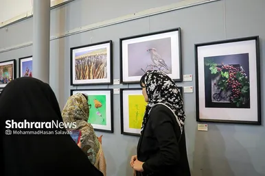 گزارش تصویری | هشتمین اکسپوی سراسری عکس همدم