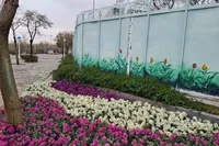 کاشت هزاران گل فصلی در شهربانو‌های مشهد در نوروز ۱۴۰۵