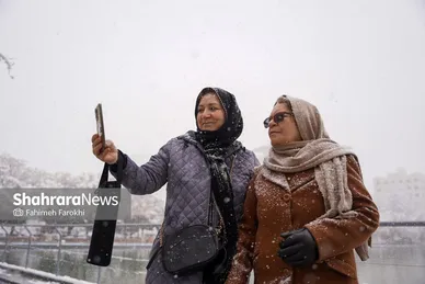 گزارش تصویری | بارش زیبای برف در مشهد