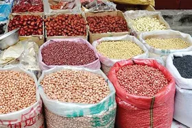 بررسی عوامل افزایش قیمت حبوبات در بازار | سه&zwnj;گانه گرانی حبوبات