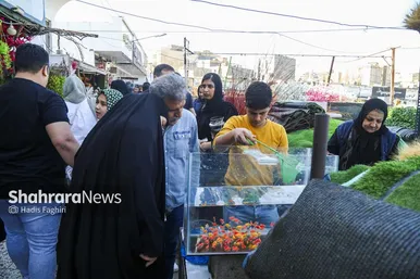 گزارش تصویری | حال و هوای بازار گل و گیاه مشهد در آستانه عید نوروز