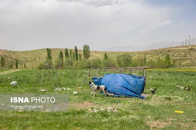ایران زیباست | سرحد عشایر ایل قشقایی