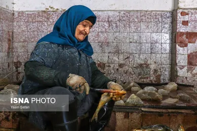 عکس‌هایی از ماهی‌های دودخانه - بندر انزلی