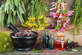 هشدار متخصصان درباره مصرف دارو&zwnj;های رایج و گیاهی در دوران بارداری