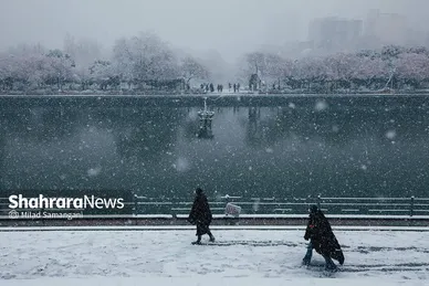 بارش برف در مشهد