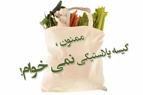 درخواست همراهی از عموم مردم در دوران پساجنگ | از کیسه&zwnj;ها و مواد پلاستیکی کمتر استفاده کنیم