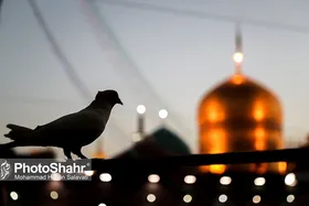 ویژه برنامه&zwnj;های روز زیارتی امام رضا(ع) در حرم مطهر رضوی