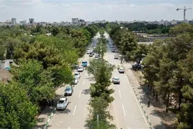 آغاز فرایند تغییر الگوی کاشت معابرشهری مشهد | گونه&zwnj;های بومی و کم نیاز جایگزین گونه&zwnj;های پرمصرف