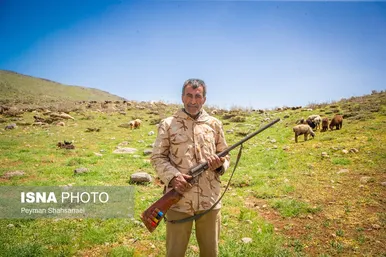 ایران زیباست | سرحد عشایر ایل قشقایی
