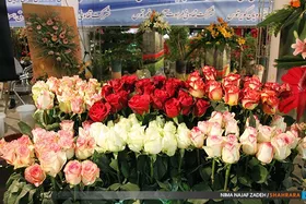نمایشگاه گل و گیاه مشهد، برند فضای سبز این شهر است | فعالیت ۵۰۰ غرفه&zwnj;دار از سراسر کشور