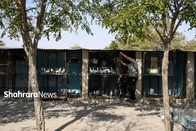 عکس‌هایی از جمعه‌بازار پرنده‌فروشان در شمال شرق مشهد
