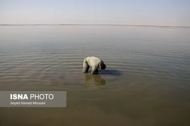 نگهبانان تالاب هورالعظیم