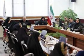 تأکید رئیس کمیسیون بانوان و خانواده شورای شهر مشهد بر ارتباط زنان فعال با سازمان&zwnj;های بین&zwnj;المللی