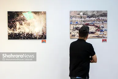 نمایشگاه عکس 