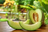 آیا مصرف «ملون» برای سلامتی مضر است؟