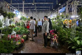 برگزاری نوزدهمین نمایشگاه بین&zwnj;المللی گل و گیاه در مشهد از امروز ۲۶ اردیبهشت ماه ۱۴۰۱