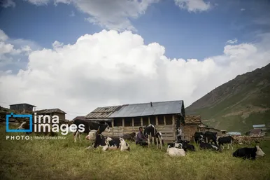 ایران زیباست | ییلاق در کوهستان