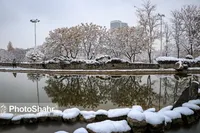 بارش باران و برف در خراسان رضوی | دمای شبانه به صفر درجه می‌رسد (٢۴ دی ١۴٠٢)